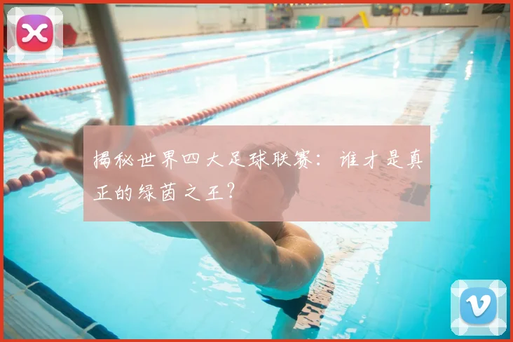 揭秘世界四大足球联赛：谁才是真正的绿茵之王？